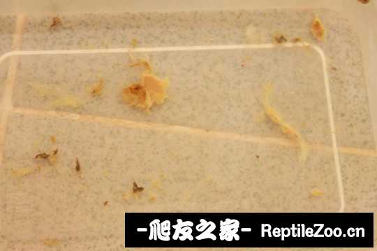 150247d4e9ye100eez709b.jpg