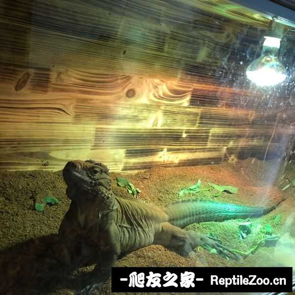 150815gz5jc9lhzccv5xcl.jpg
