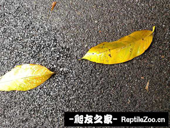 171019z1wnbo11dbqcn1gw.jpg