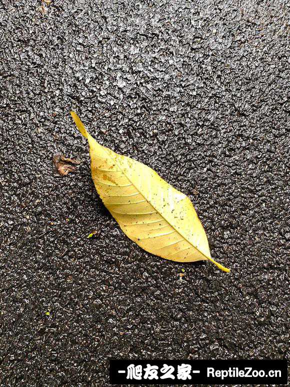 171020b9kys5k1tqjk53sq.jpg