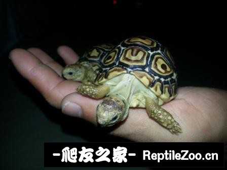 172139v3rlc8rd33lu9l3l.jpg