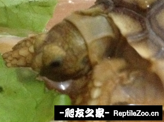 234511kolp4w953efwcdwf.png