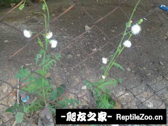 002702r3wwbq31jer11393.jpg