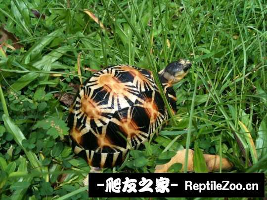 002721fm2p728mpjp2bpjp.jpg