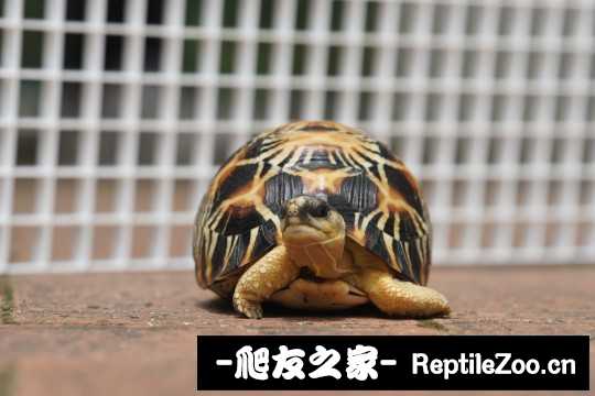 002722nizesefwmcpnkyi1.jpg