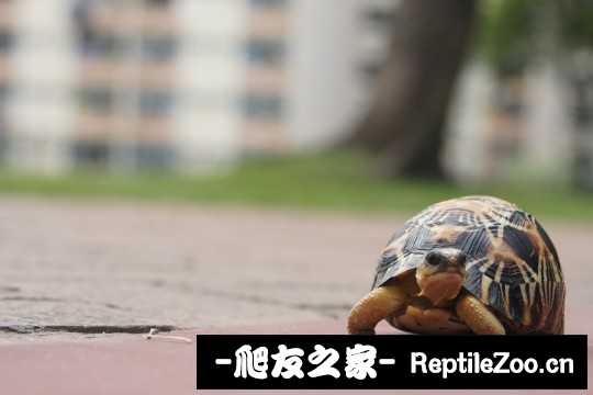 002722pdwnsnngtsiwnzsu.jpg