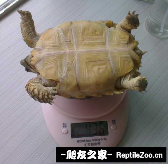 003225liibuawuuihyyhyo.jpg