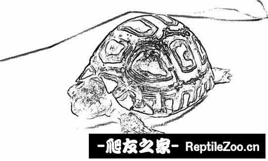 003307jjiidhzitzjhpson.jpg