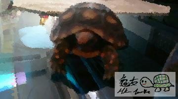 003308wemmg79grooplg9p.jpg