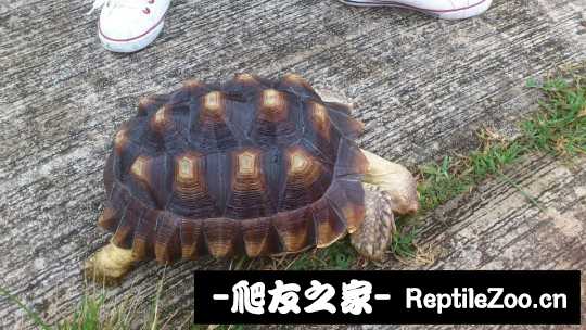 003653vgiy3gw7gkzgixez.jpg