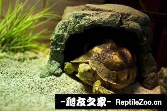 004213ttu1h2wa5httdrjj.jpg