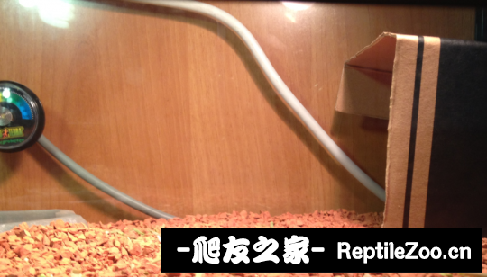 005735xxmwwwwwsv49wxs6.png
