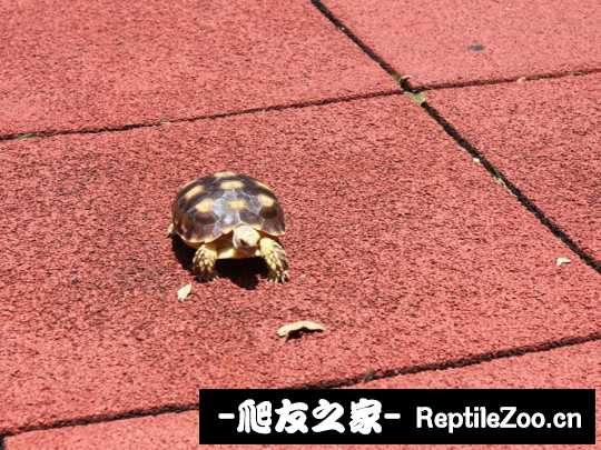010951nvuevsd76tcvjpbu.jpg