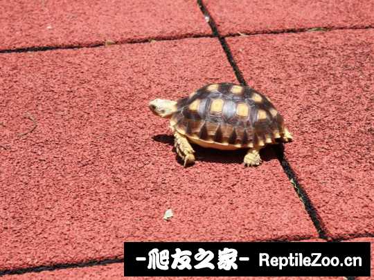 010952rzisnciinffct9tx.jpg