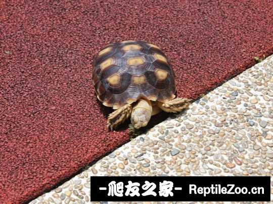 010953r0vry15s2s1avhvu.jpg