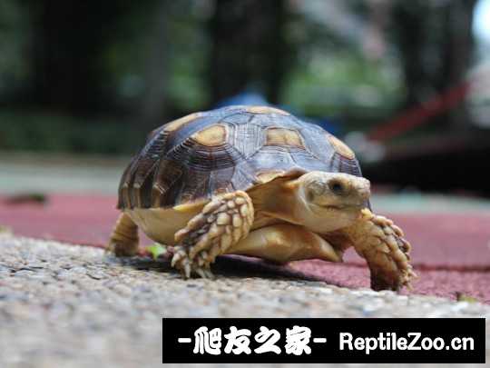 010954bnvkkcnwrr5rkpxz.jpg