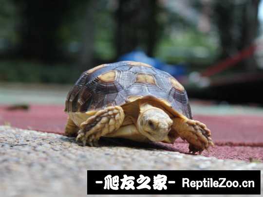 010954n1a000h1i01ayzy1.jpg