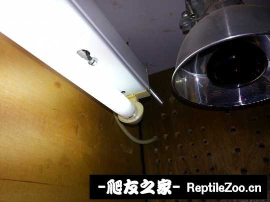 011837ltimkiv1wgd8vdz0.jpg