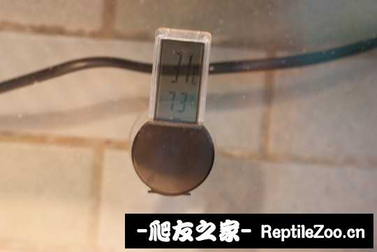 011842aal5apx5vczlplxm.jpg