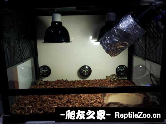 012046nv18v64zzin202z5.jpg