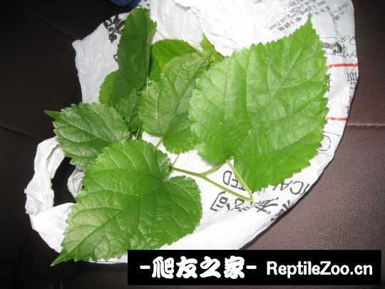 012357zgnpup6n1u9yqbyp.jpg