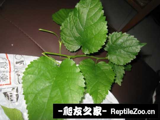 012400t85aky3sc3ay805i.jpg