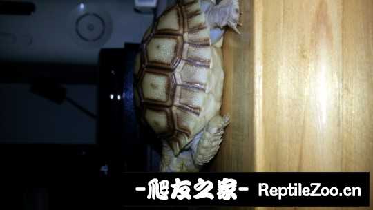 012415ramgbibrb7b770kx.jpg