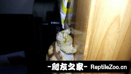 012416nf1i1dif8ed9wnpk.jpg