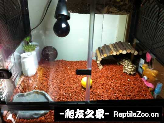 012920ut4iigi8ctmggrg1.jpg