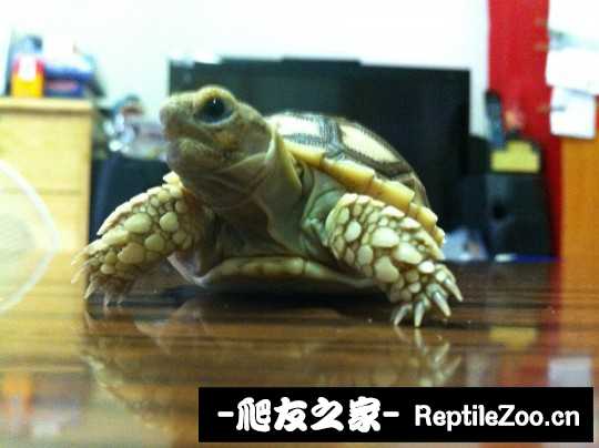 012922ide5desce3d81cex.jpg
