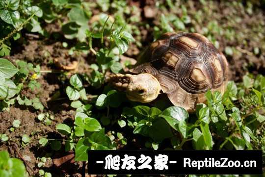 012949pby343683hn663cn.jpg