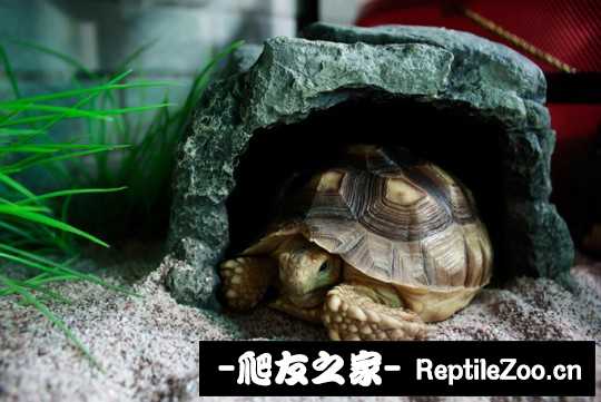 012952u2892w921j8es0ej.jpg