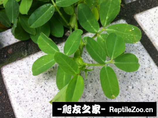 012957i1yvbz91f8513hjw.jpg