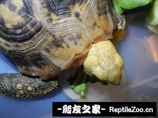 013409hh32azc8uu8u203u.jpg