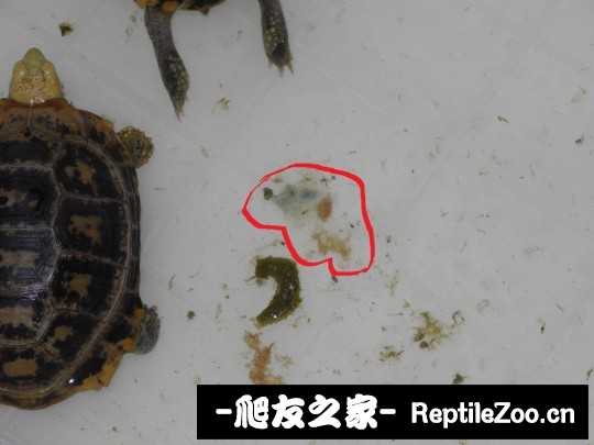013445doui0uu3u5s3cjco.jpg