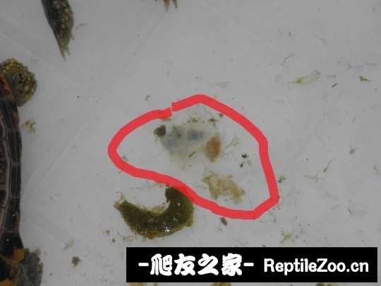 013445kkxb8afcfy5iczex.jpg