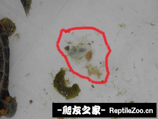 013445ywhy3w14kyp53k44.jpg