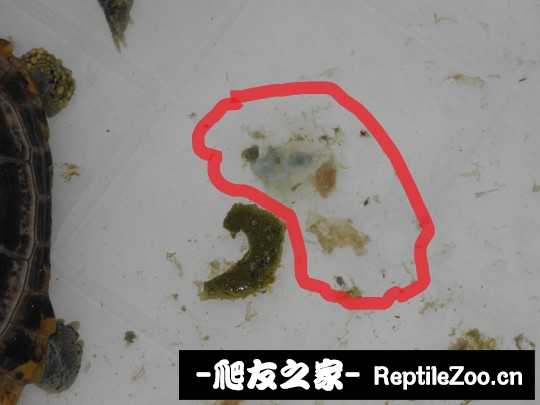013446g9rrjxjjxtrjxw1w.jpg