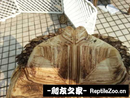 013452ixrzbrt4rbt4i8lu.jpg