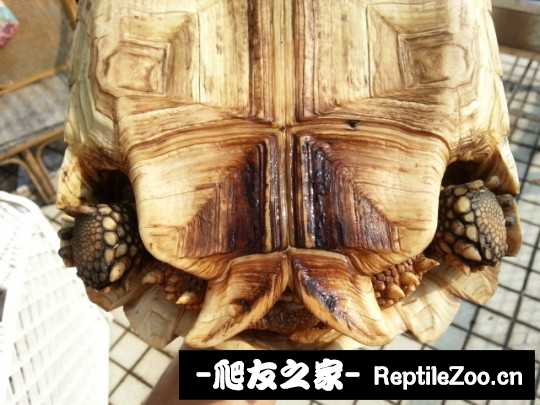 013453fnyp49r4ydoiro8p.jpg