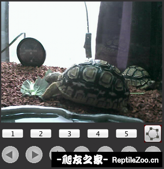 013918gvsy7r85ryjyj58d.png