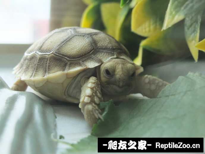 014108kvcl7d4d7zs2lcmk.jpg