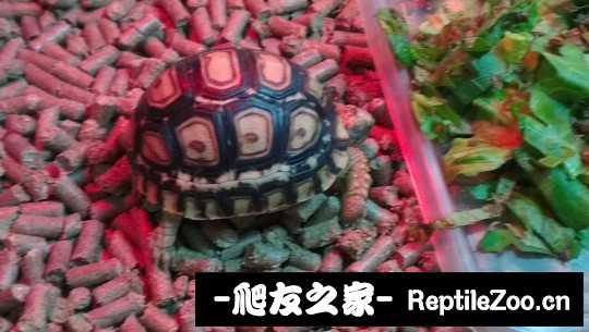 014130cqzi5ii4qqi03j11.jpg