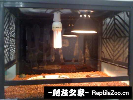 014228gkbwb5bkcvui5u8v.jpg