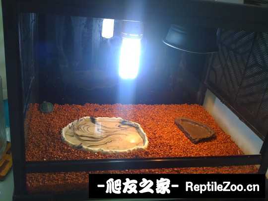 014228jk95w5hc7twko45o.jpg