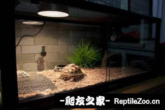 014244ahjzps6vu2fp2uvg.jpg