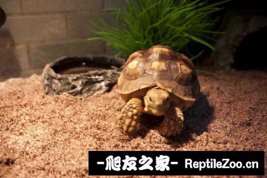 014244s9pw66ql3jhv93y6.jpg