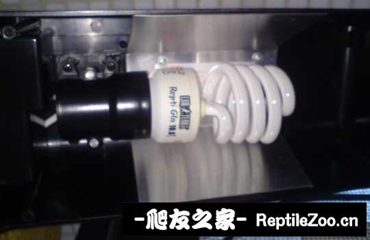 014315moa97s059em99mo9.jpg