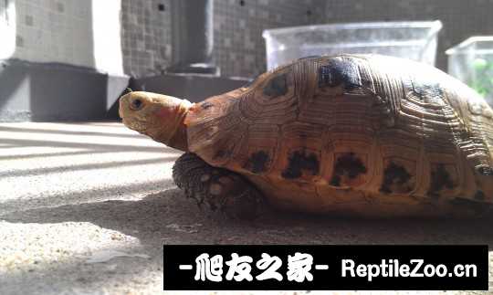 014337a5cs8isx28sxjzxa.jpg
