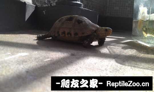 014337w4cwgw63vng6sy50.jpg